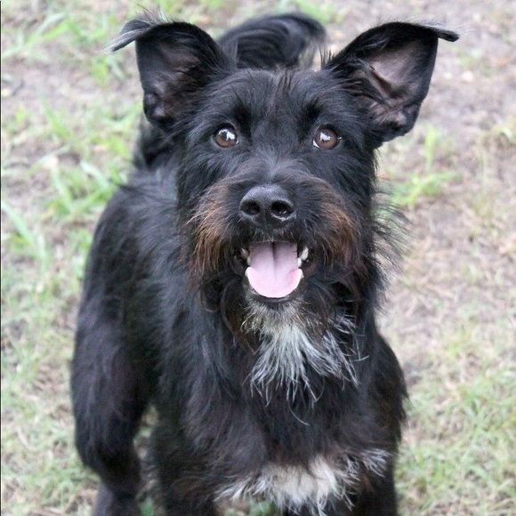 Meet your Posher, Gloria - Picture 4 of 5